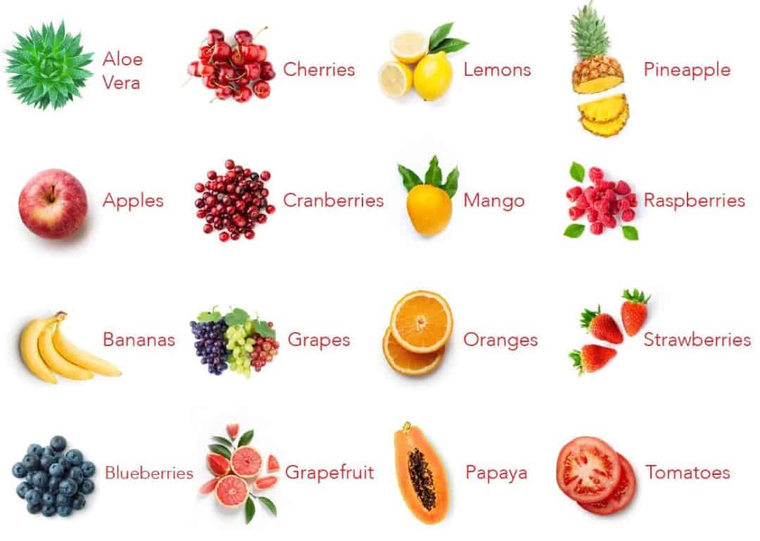 Balance of Nature Ingredients Fruit
