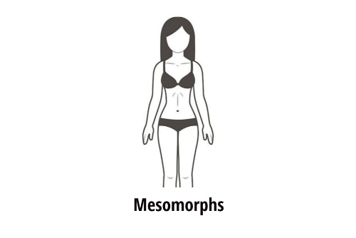 Mesomorphs