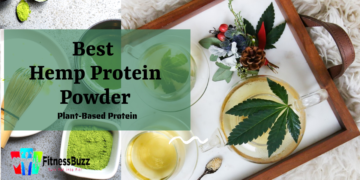 Best Hemp Protein Powders