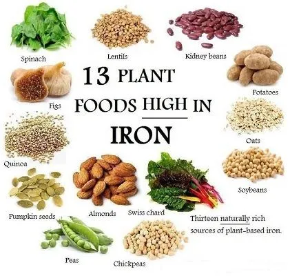 Iron Vegan Foods