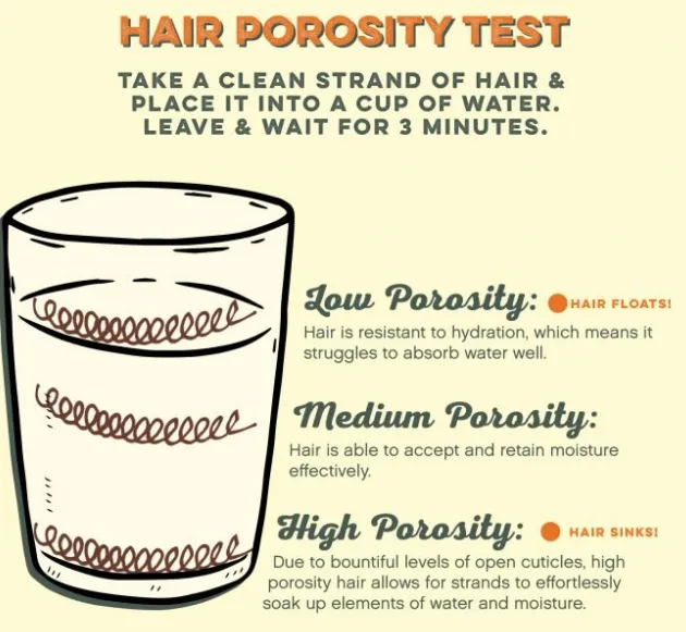 porisity of hair